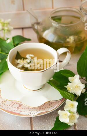 Jasmine tea with jasmine flowers on white wooden table background. Cup of hot green tea with jasmine flavor, fresh jasmine flowers. Concept of freshly Stock Photo