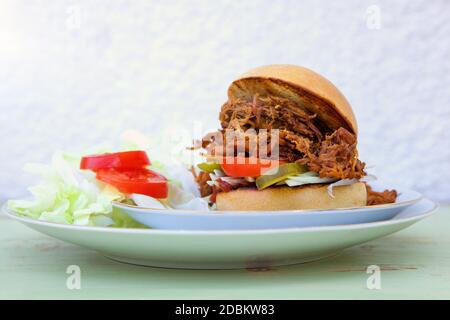 Pulled pork burger with fresh salad on plate on sunny day. Party food, garden party barbeque. Stock Photo