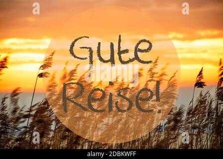 German Text Gute Reise Means Good Trip. Beach Grass At Sunrise Or