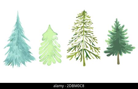 Colorful Christmas trees collection, different forms of species, watercolor green and blue color, as symbol Happy New Year, Merry Christmas holiday ce Stock Vector