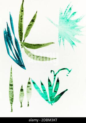 sketches of various leaves hand-drawn by color inks on old textured paper in sumi-e (suibokuga) style Stock Photo