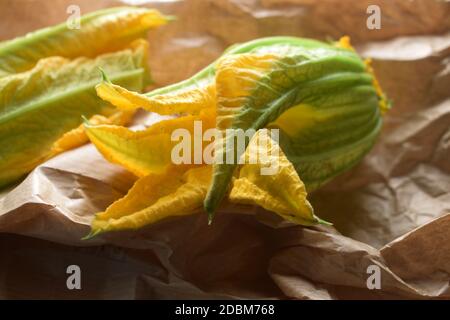 Courgette flower on paper background Stock Photo