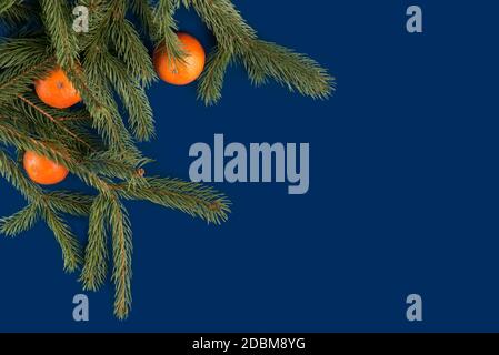 christmas blue frame background with christmas decorations with fir and pine branches and tangerines Stock Photo