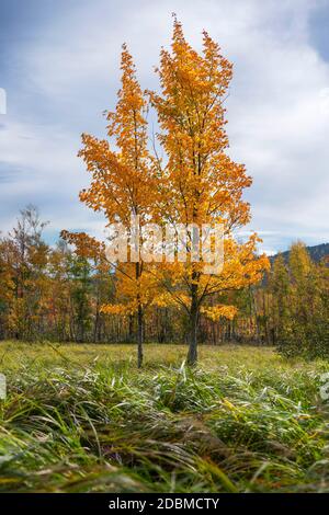 Autumn in Acadia National Park, Maine, USA Stock Photo