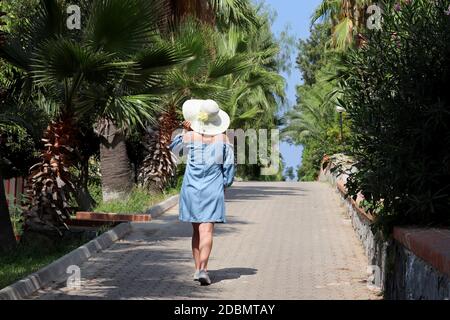 Woman in sun hat walking along the path in tropical garden on palm trees background. Beach vacation, freedom and dreaming concept
