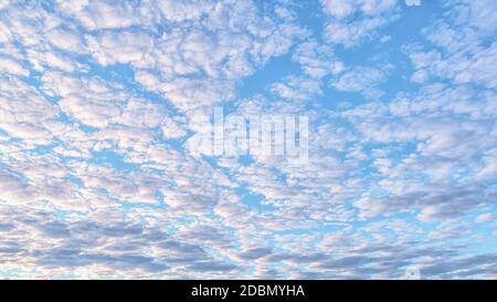 Altocumulus clouds in the sky. Natural texture and background Stock Photo