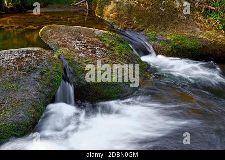 the idyllic river kalte Bode near Schierke in the Harz National Park in Germany Stock Photo