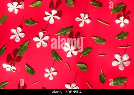 Frame made of various colorful flowers on paper. Stock Photo