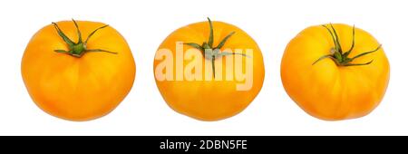 yellow tomato path isolated on white Stock Photo