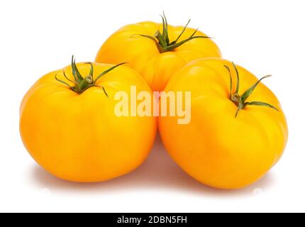yellow tomato path isolated on white Stock Photo