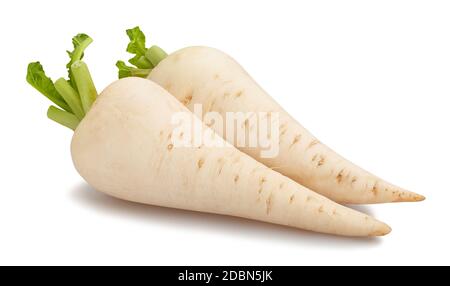 daikon radish path isolated on white Stock Photo