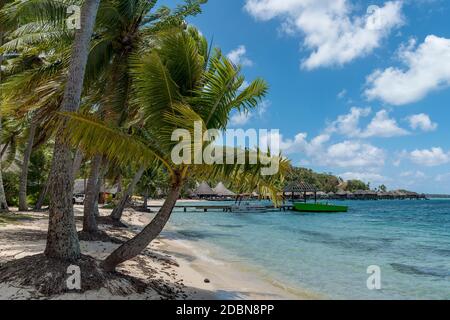 Marara Beach nahe Sofitel Hotel, Bora Bora, Französisch-Polynesien, Ozeanien Stock Photo