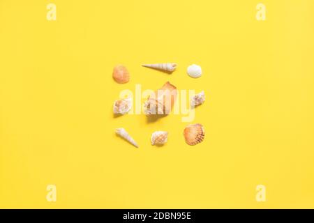 Summer flat lay. Top view. Shells of various kinds on a yellow background. Seashells on a pastel background. Vacation concept, empty space for text. Stock Photo