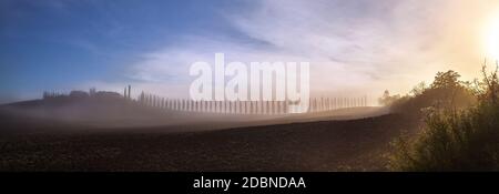 The alley of cypress trees the covered with mist meadows and fields shooted in the early foggy morning at Tuscany region, Italy Stock Photo