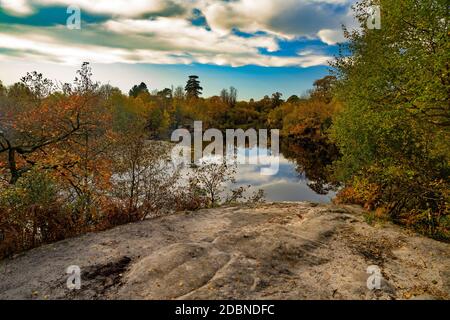 Autumn at Lake Wood, Uckfiled, East Sussex, England, Uk. Stock Photo