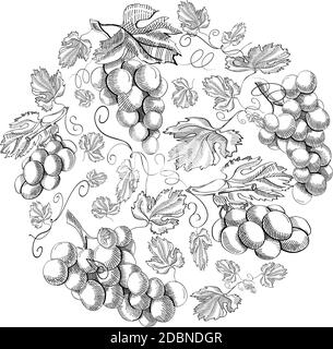 Circle pattern bunches of grape doodle with repeating beautiful berries on white background hand drawing vector illustration Stock Vector