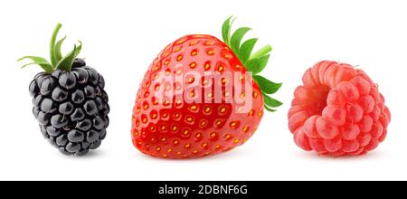 wild berries mix, blackberry, strawberry, raspberry, isolated on white background, clipping path, full depth of field Stock Photo