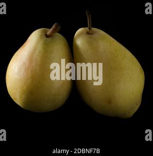 two ripe, juicy pears, on a black background Stock Photo