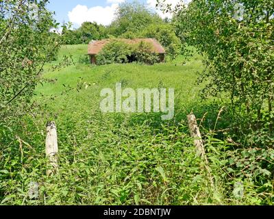 old hidden barn in the green Stock Photo