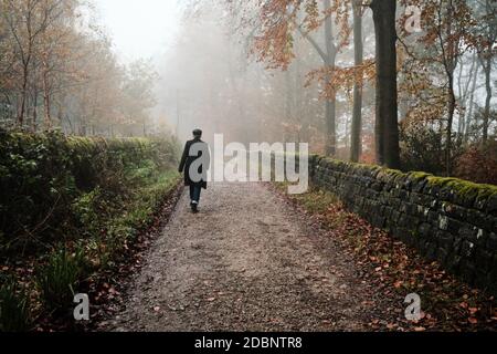 A person walks alone along a path through a mist covered wood near Swinsty reservoir near Otley, North Yorkshire. UK Stock Photo