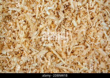 Fresh sawdust texture. Shavings background with copyspace Stock Photo