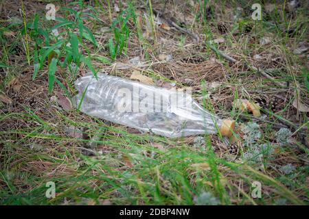 Plastic bottle on green grass in the forest. environmental pollution concept. protection of ecology.  Plastic bottle in green grass on grass Stock Photo