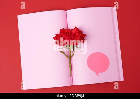 open notebook with pink blank sheets and red rose, top view, flat lay Stock Photo
