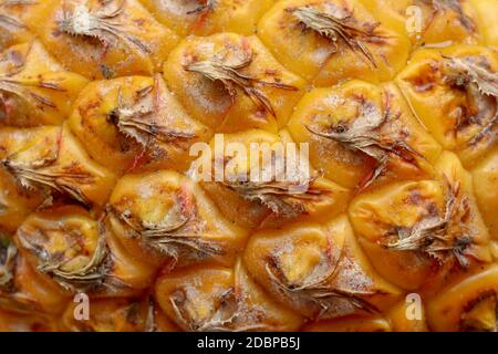 Close-up of skin of ripe pineapple. Fresh pineapple texture. Abstract nature background texture of pineapple skin. The skin is were most of the bromel Stock Photo