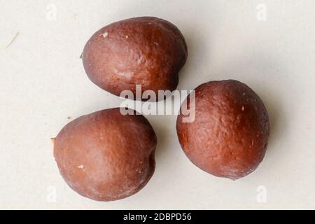 Snake fruit seeds on a white background. Close up of seeds. Salak is a fruit which in Indonesia has almost the same fruit skin as snake skin. The tast Stock Photo
