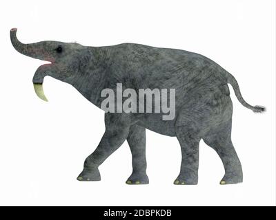 The Deinotherium was an extinct mammal that lived during the Miocene era  and is related to