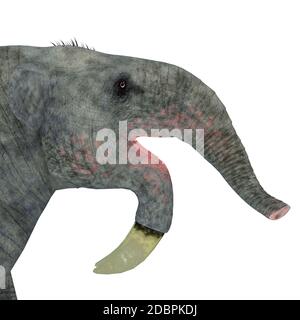 Deinotherium with offspring. Deinotherium was an enormous land mammal that  lived in Asia, Africa and Europe during the Miocene to Pleistocene Periods  Poster Print - Item # VARPSTCFR200653P - Posterazzi