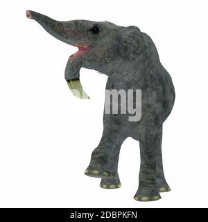 Deinotherium was an enormous land mammal that lived in Asia, Africa and Europe during the Miocene to Pleistocene Periods. Stock Photo