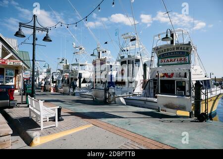 Destin sport and commercial fishing boats moored at the Harborwalk Marina in Destin, Florida USA. Stock Photo