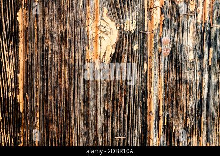 Brown weathered wooden in detail background Stock Photo