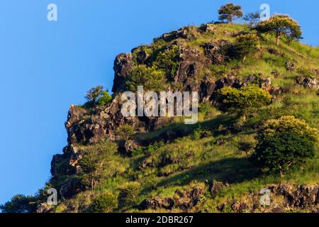 Landscape on Seychelles island Mahe with mountain, rocks and trees Stock Photo
