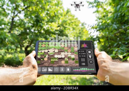 Smart Farming Digital Technology Agriculture App At Farm Stock Photo