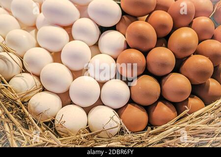 Wonderful arrangement of fresh white and brown chicken eggs in basket Stock Photo