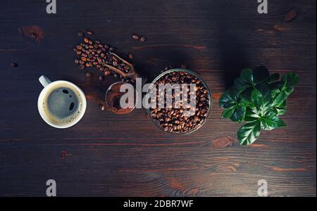 Photo of coffee Ingredients. Coffee cup, coffee beans, plant and ground powder on vintage wood table background. Top view. Flat lay. Stock Photo