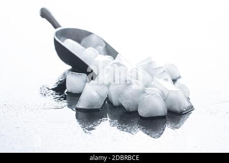 Cold ice cubes in metal scoop. Stock Photo