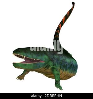 Eogyrinus was an aquatic predatory tetrapod that lived in the Carboniferous Period of England. Stock Photo