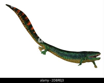 Eogyrinus was an aquatic predatory tetrapod that lived in the Carboniferous Period of England. Stock Photo