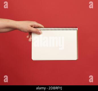 hand holding an open spiral notebook with empty white sheets, red background, copy space Stock Photo