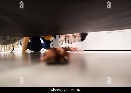 Girl Looking For Lost Mobile Phone Under Sofa Stock Photo