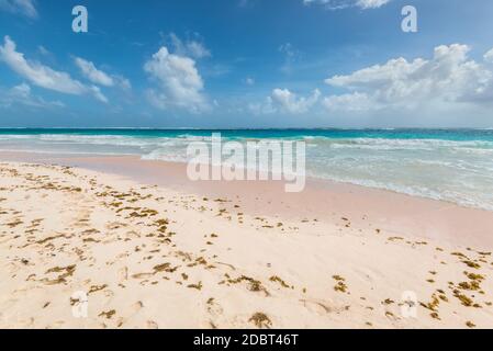 Tropical beach on the Caribbean island - Crane Beach, Barbados. The beach has been named as one of the ten best beaches in the world and it has the pi Stock Photo