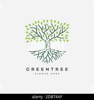 Elegant tree logo design vector template.Autumn tree illustration Stock Vector
