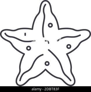 Starfish icon, linear isolated illustration, thin line vector, web design sign, outline concept symbol with editable stroke on white background. Stock Vector