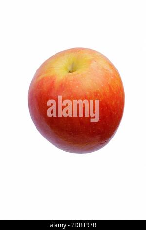 Jazz apple (Malus domestica Scifresh). Hybrid between Royal Gala and Braeburn apples. Image of apple isolated on white background Stock Photo