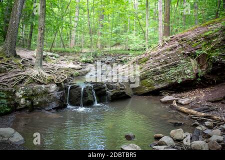 Idyllic green forest waterfall. Full frame serene scene with copy space. Stock Photo