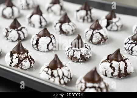 Chocolate crinkle cookies in powdered sugar Stock Photo