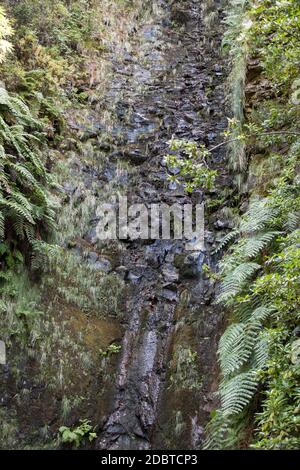 Last waterfall of the Twenty-five Fountains Levada hiking trail, Madeira Portugal Stock Photo